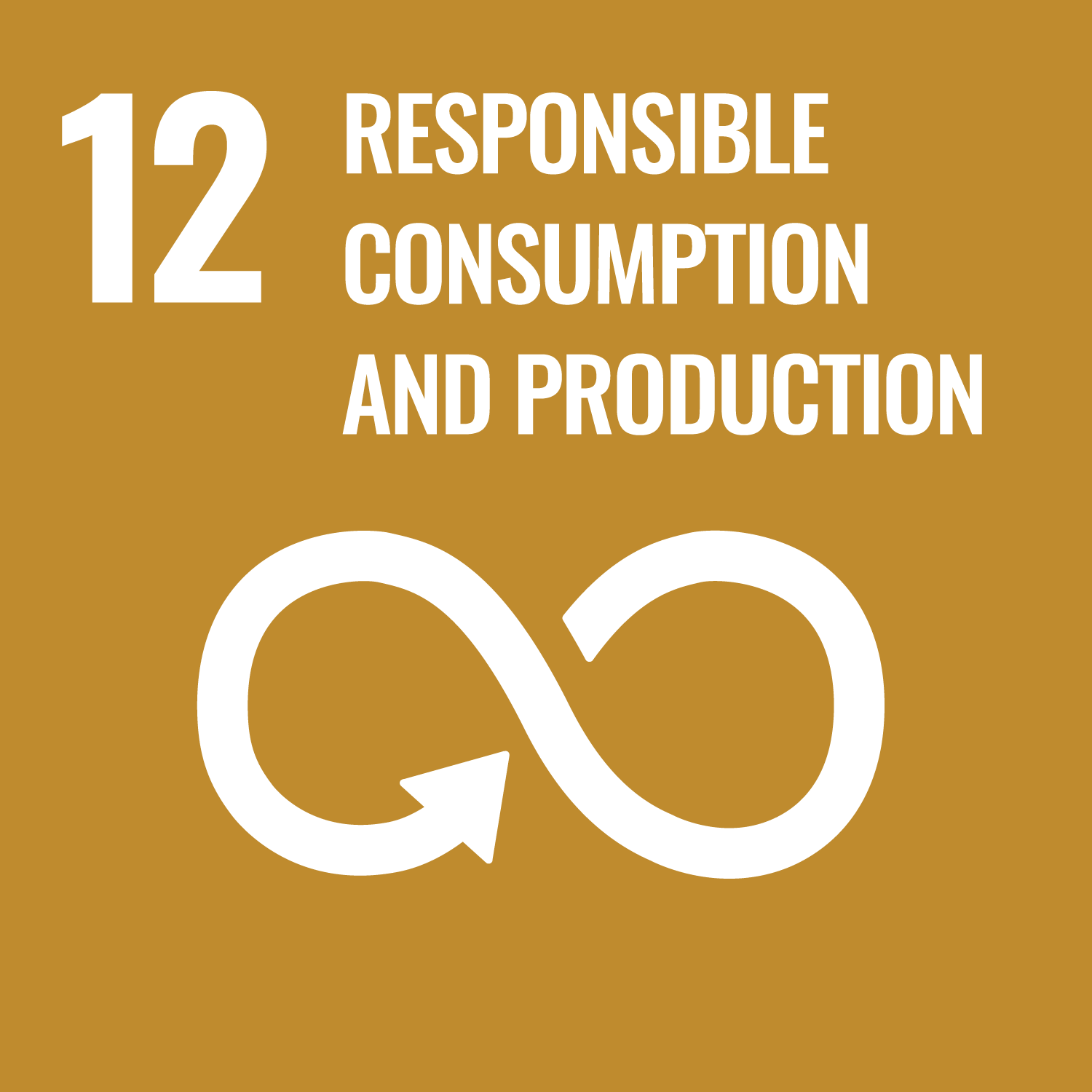SDG 12 Responsible consumption & production