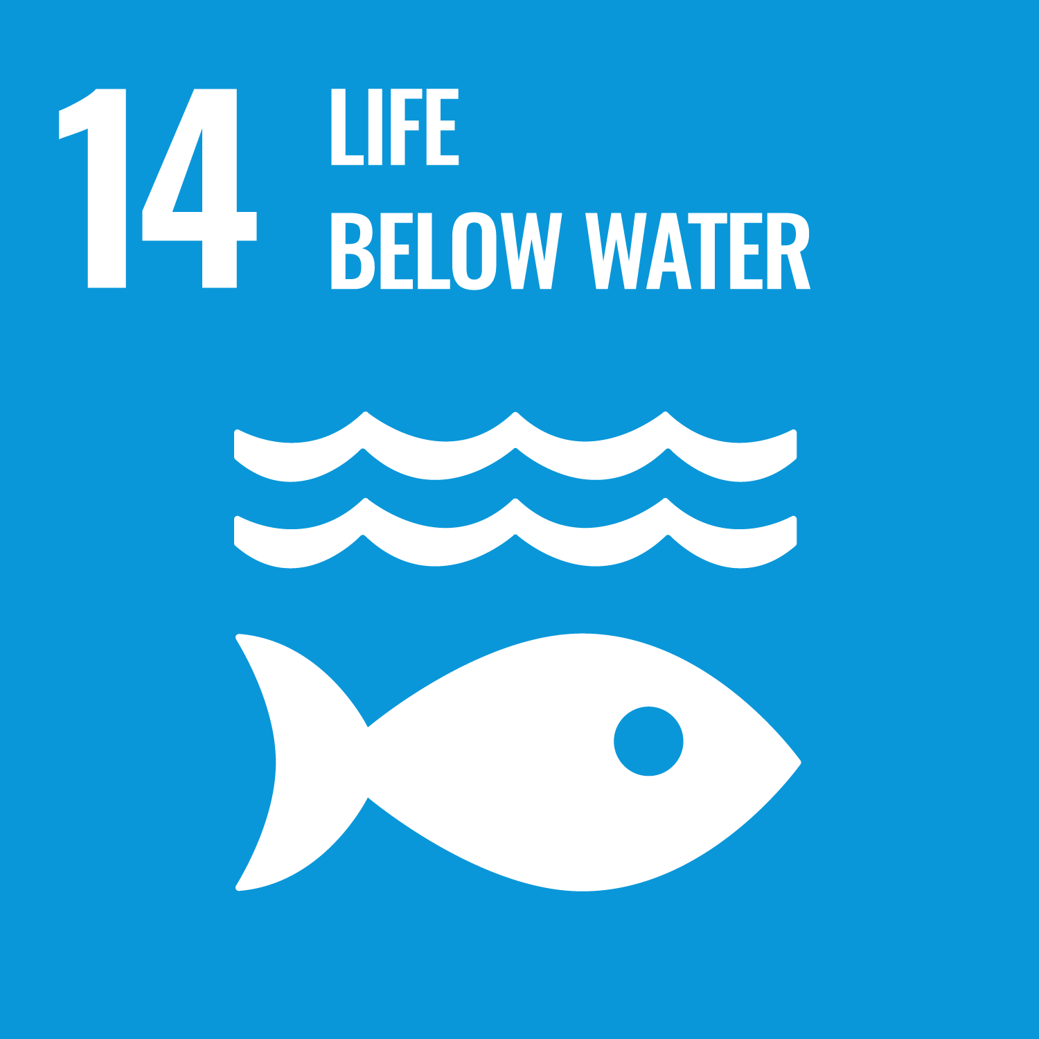 UN SDG 14: Life below water