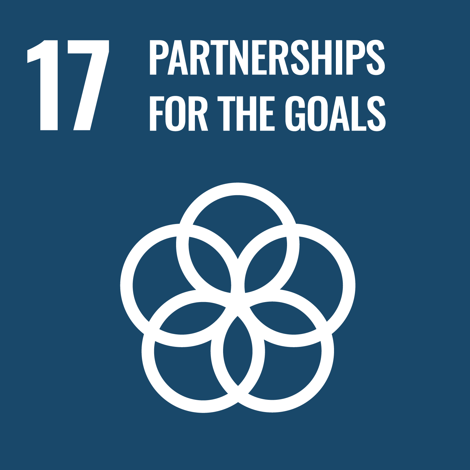 UN SDG 17: Partnerships for the goals